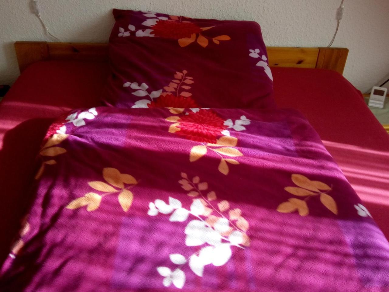 Monteurhotel Garni Alter Olper Hof Lindlar Kültér fotó